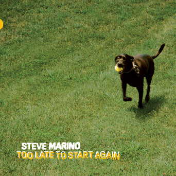 Steve Marino "Too Late To Start Again"