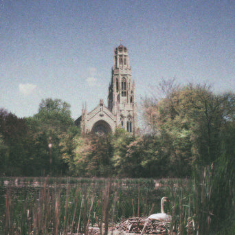 A Mourning Star "Necessity Has Clipped My Wings"