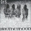 DYS "Brotherhood"